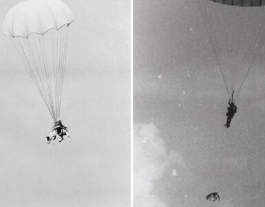 Foto del giorno: il D-Day dei paracadutisti a 4 zampe