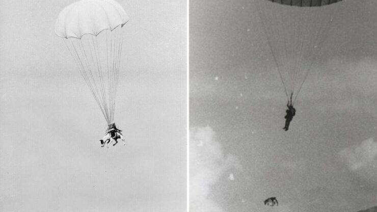 Foto del giorno: il D-Day dei paracadutisti a 4 zampe