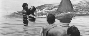 Foto del giorno: la rivoluzione silenziosa de "Lo squalo"