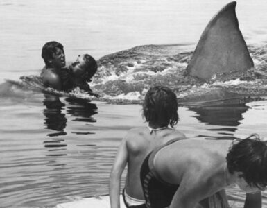 Foto del giorno: la rivoluzione silenziosa de "Lo squalo"