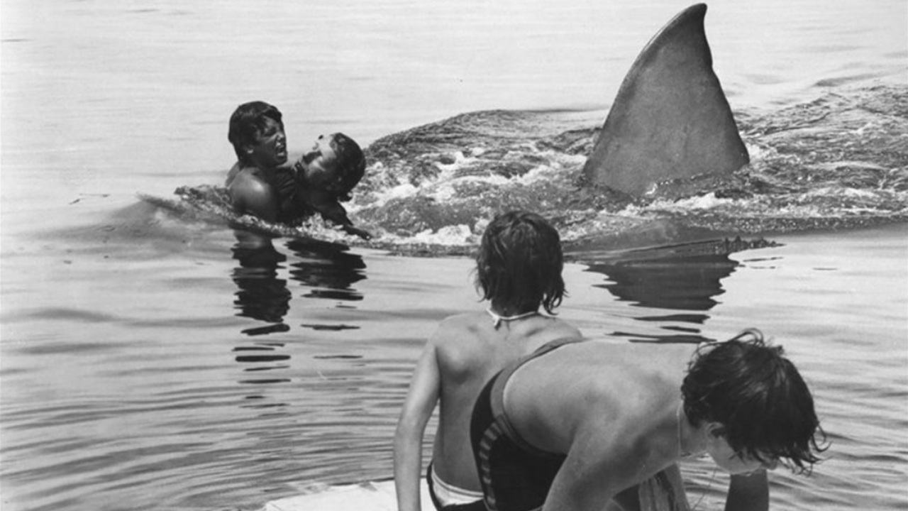 Foto del giorno: la rivoluzione silenziosa de "Lo squalo"