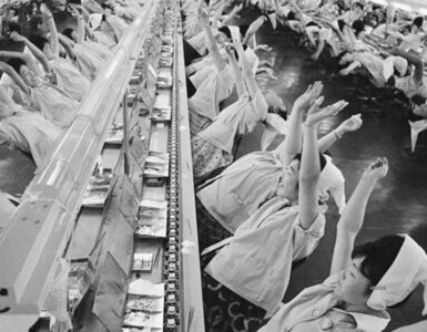 Foto del giorno: sbadiglio collettivo