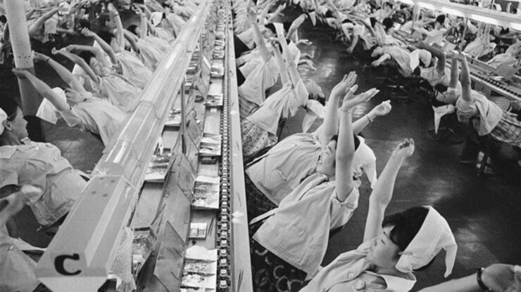 Foto del giorno: sbadiglio collettivo