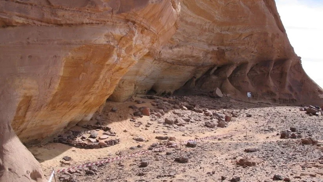 sahara verde