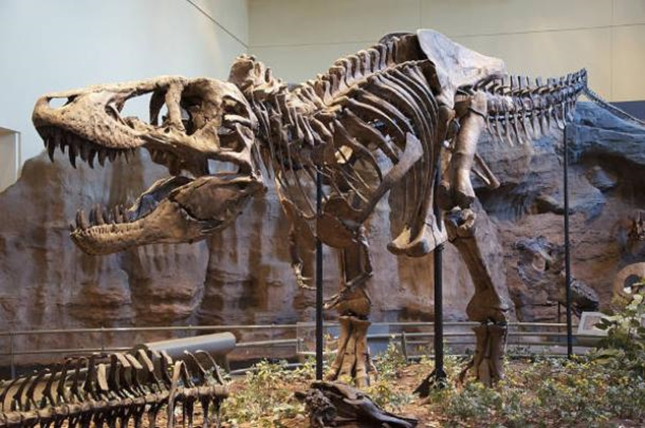 t-rex