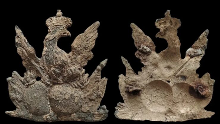 aquila bronzo