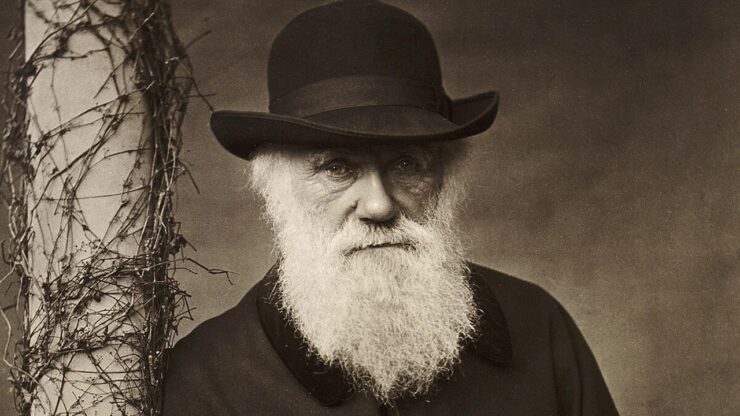 charles darwin cani
