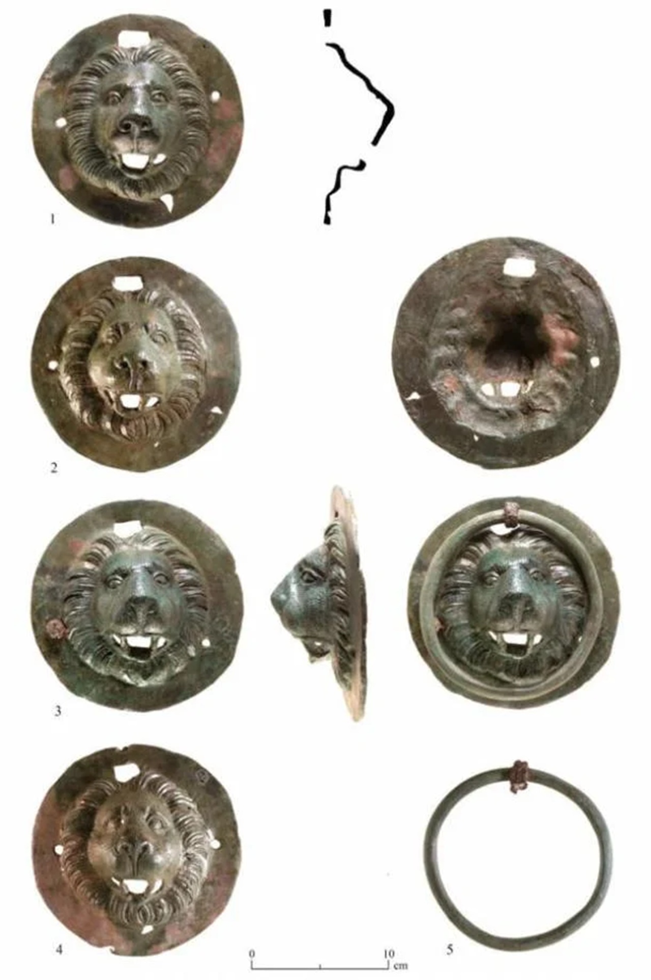 dischi dettaglio