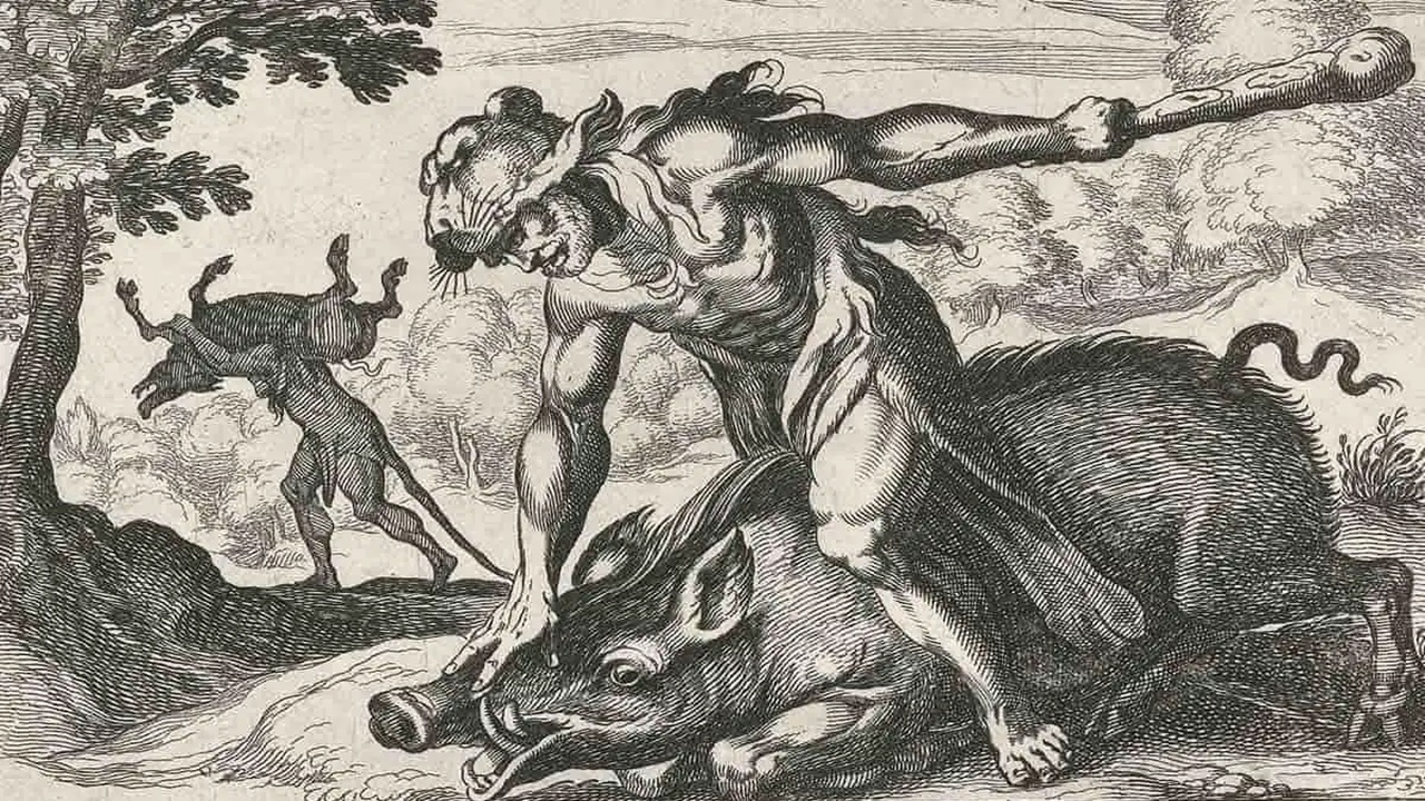 ercole cinghiale