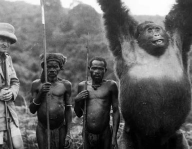 Foto del giorno: Attilio Gatti nel Congo belga