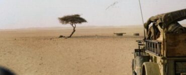 Foto del giorno: l'albero del Ténéré, il faro del Sahara