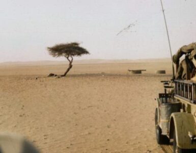 Foto del giorno: l'albero del Ténéré, il faro del Sahara