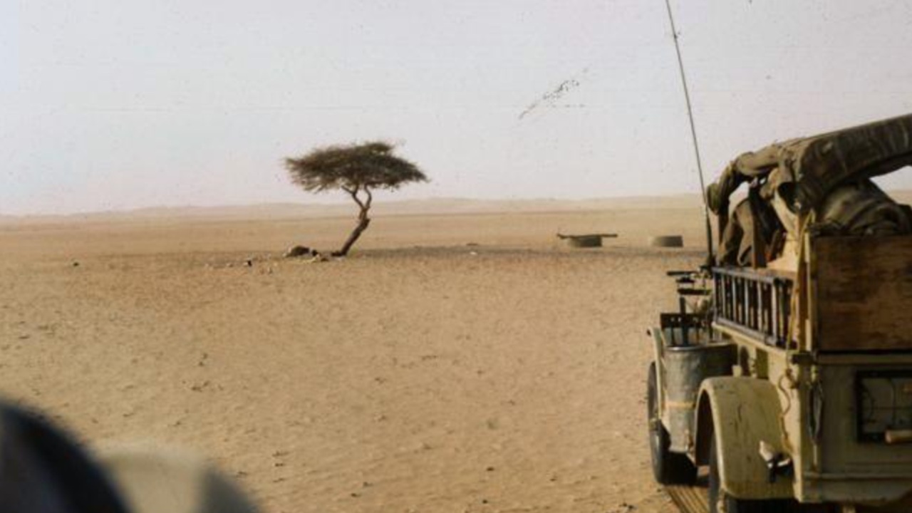 Foto del giorno: l'albero del Ténéré, il faro del Sahara