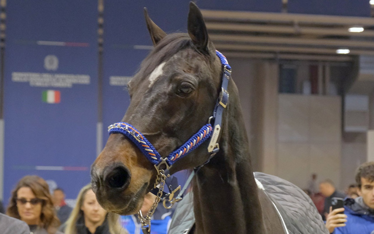 Varenne foto fiera