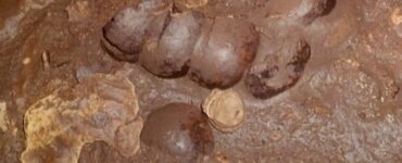 grotta sangue