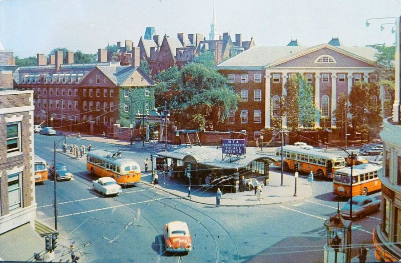 nudi Harvard 1950'