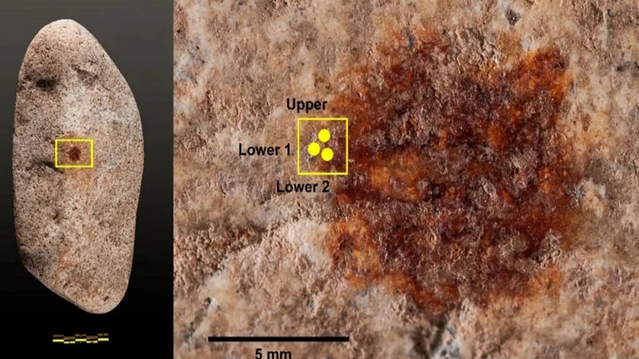 impronta digitale NEanderthal