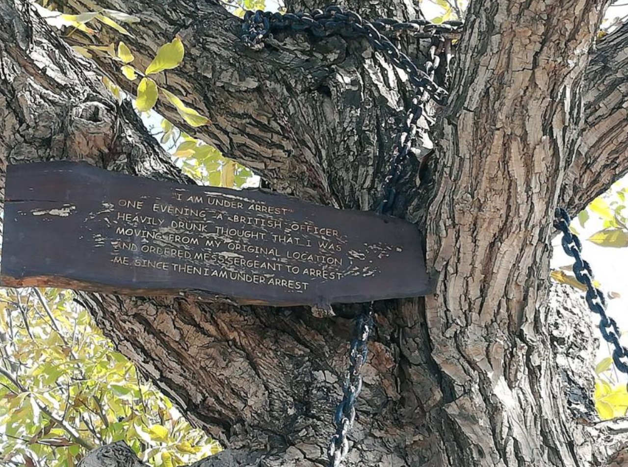 stato d'arresto cartello albero Pakistan