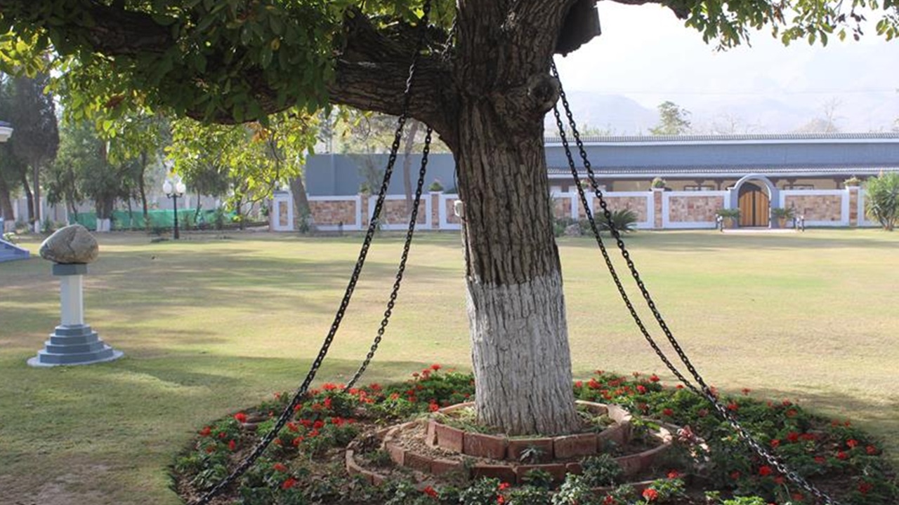 In Pakistan esiste un albero in stato d'arresto dal 1898: colpa di un ufficiale inglese ubriaco