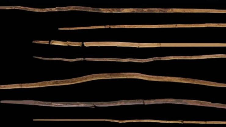 neanderthal lance