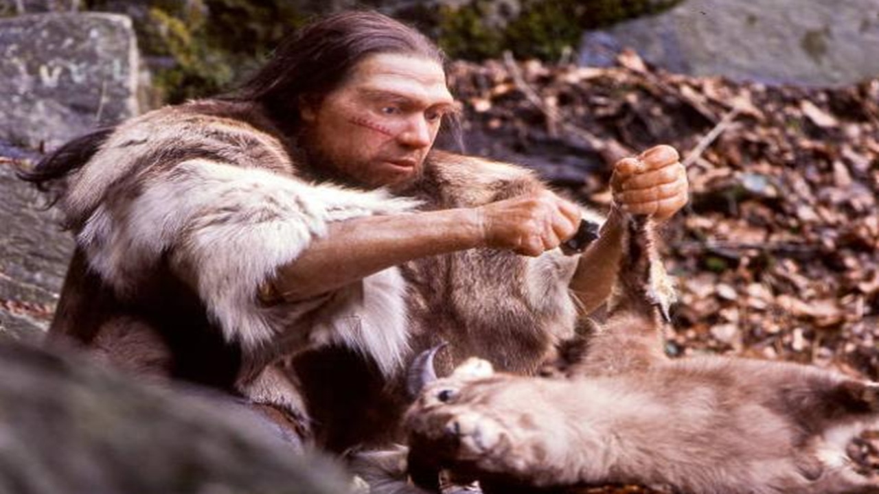 neanderthal