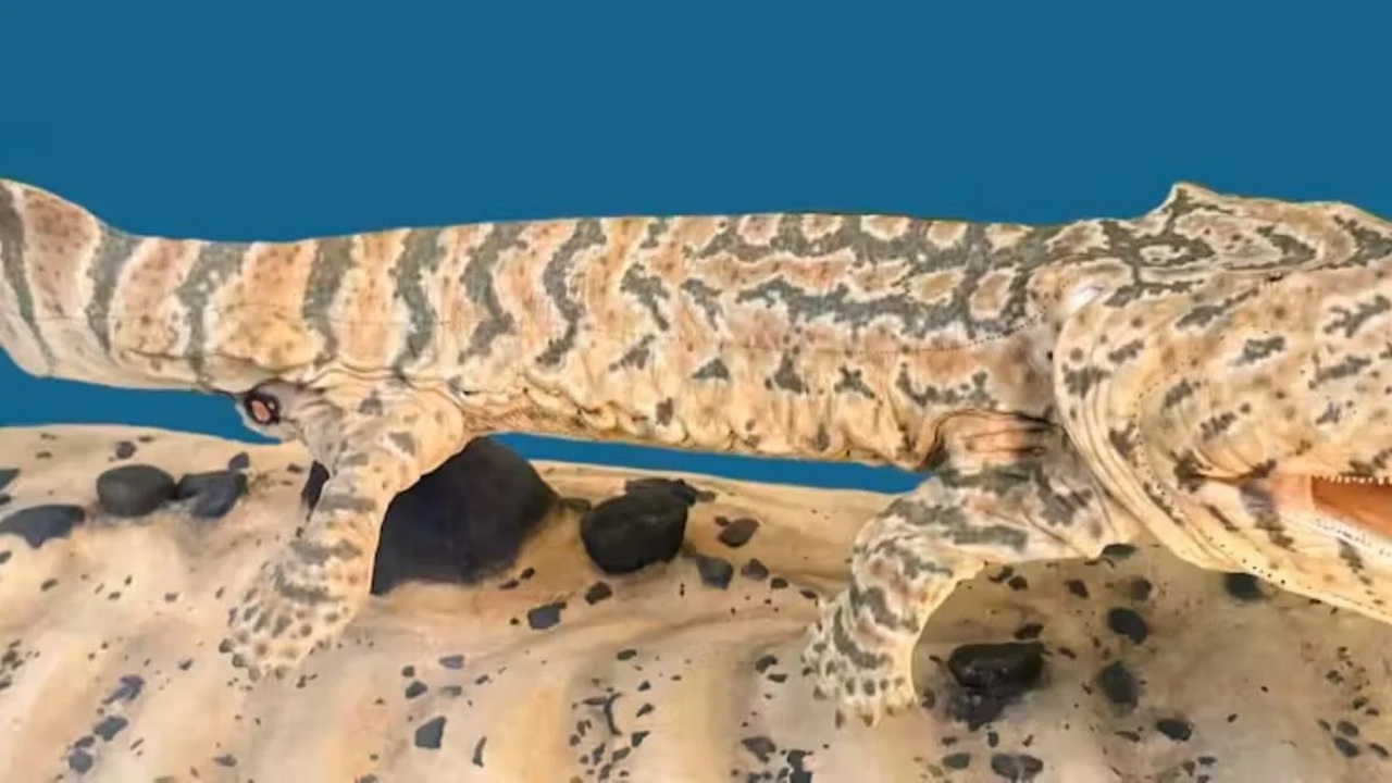 rettili tetrapodi