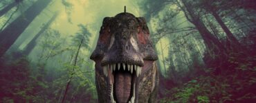 tyrannosaurus rex