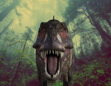 tyrannosaurus rex