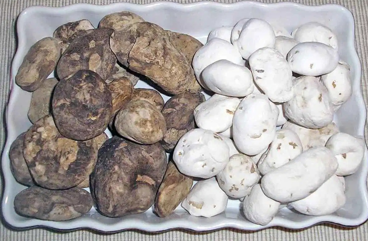 civiltà precolombiane patate