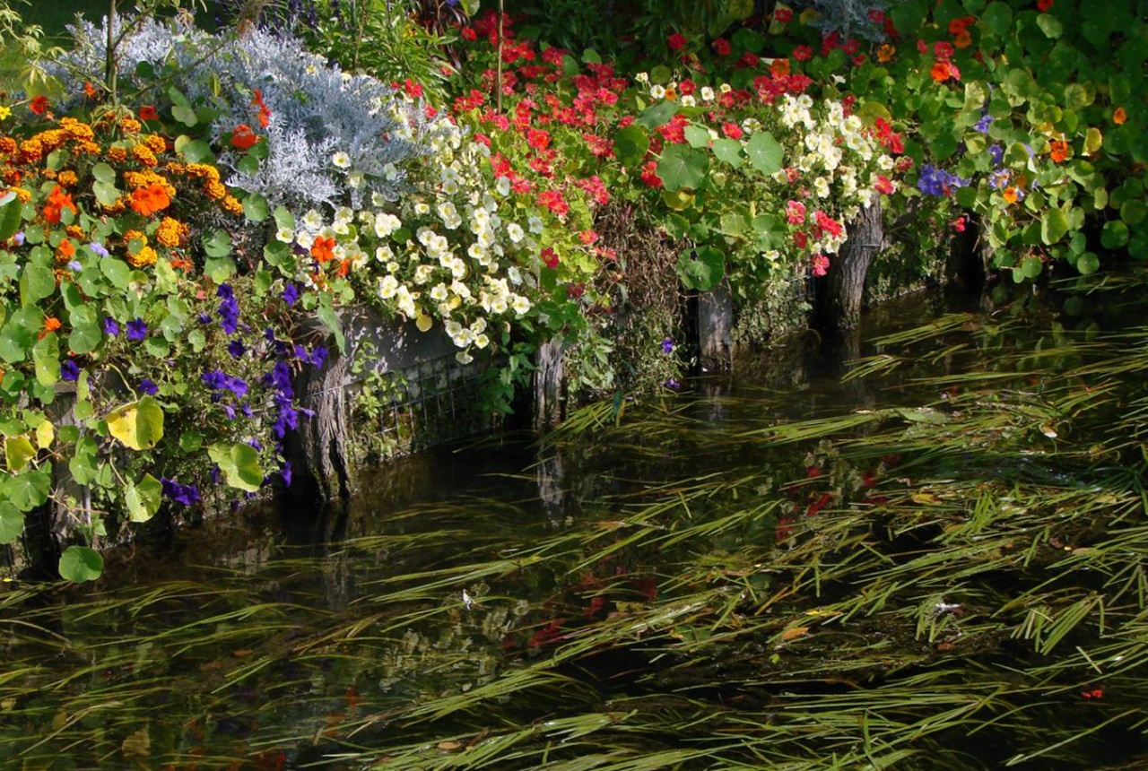 Hortillonnages di Amiens vegetali sui canali