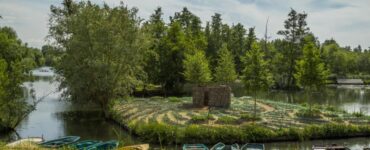 Gli Hortillonnages di Amiens: 700 anni di "giardini galleggianti"