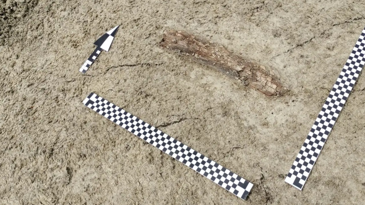 mammut lanoso