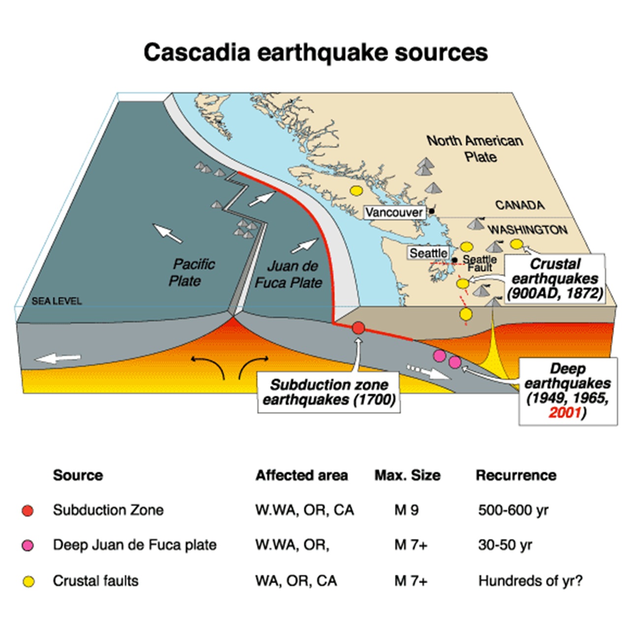terremoto cascadia ricostruzione