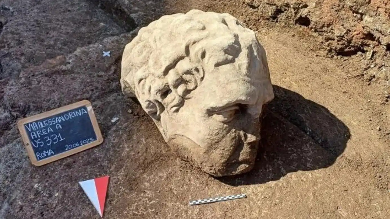 testa marmo