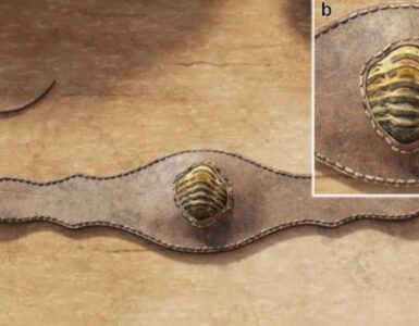 amuleto trilobite