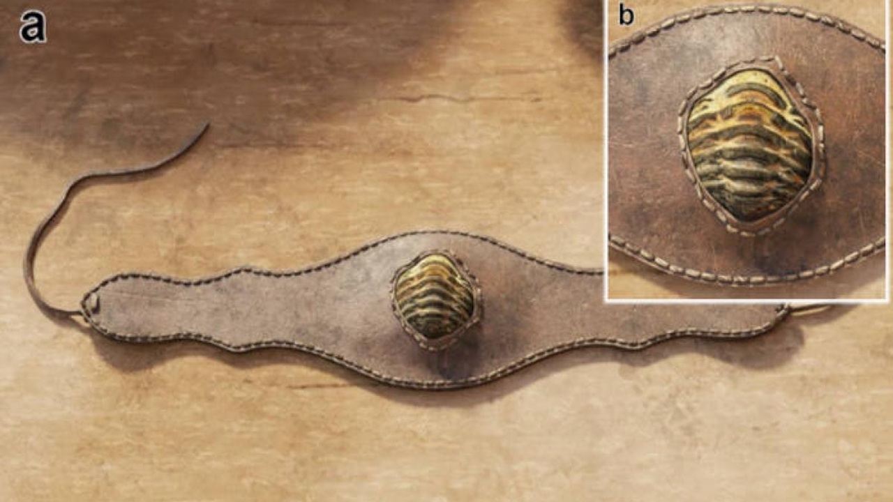 amuleto trilobite