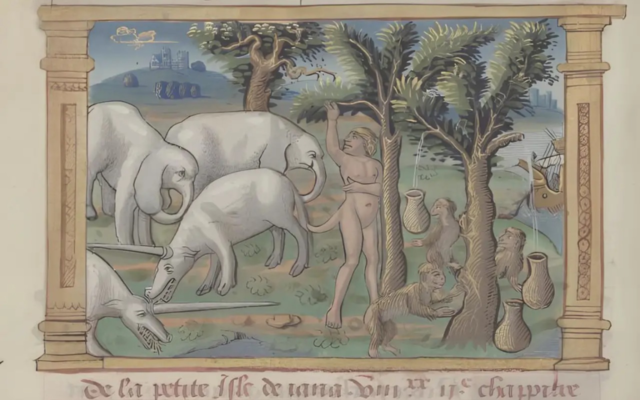 Animali fantastici Marco Polo libro delle meraviglie