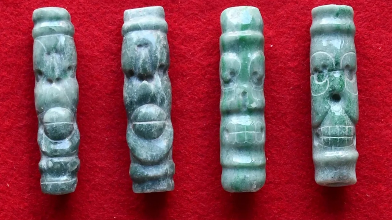 caracol reperti