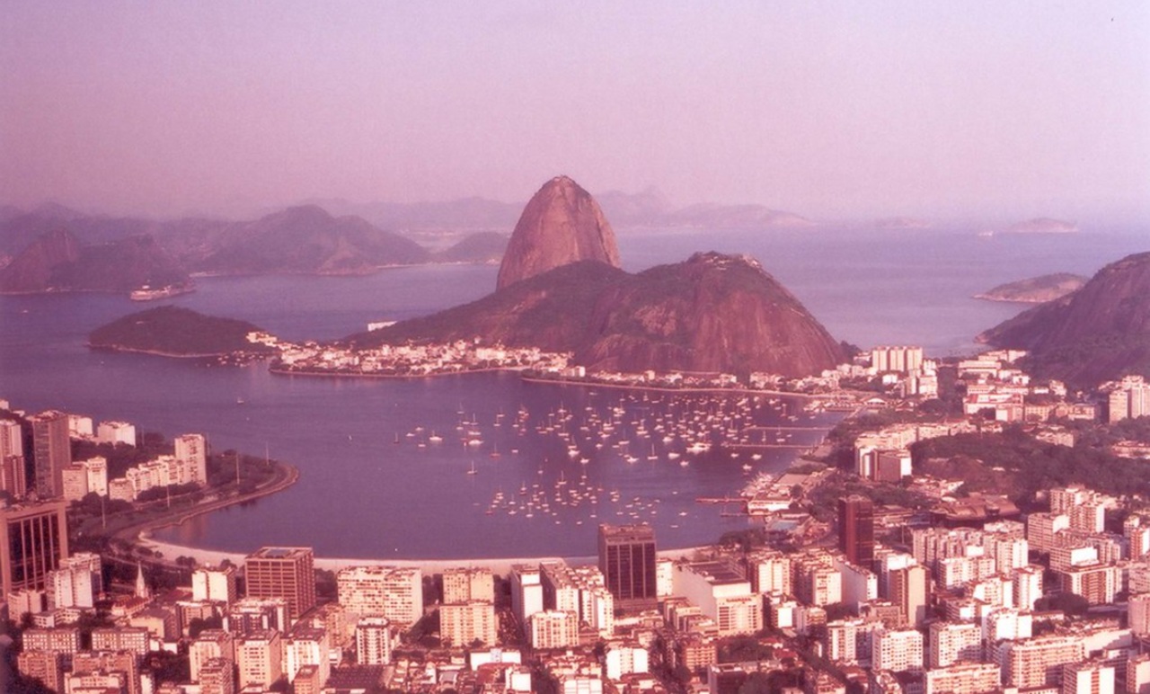 scimpanzé Rio de Janeiro