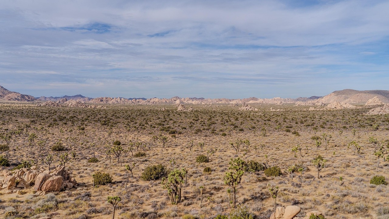 deserto turchia