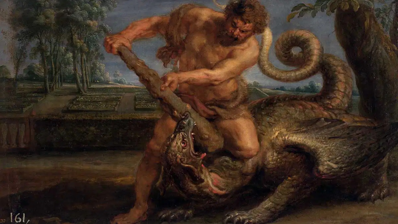ercole drago