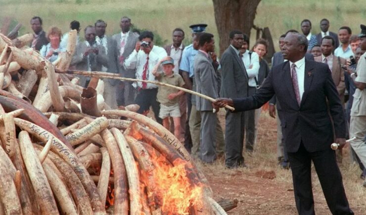 Foto del giorno: contro il bracconaggio, il primo rogo dell'avorio in Kenya
