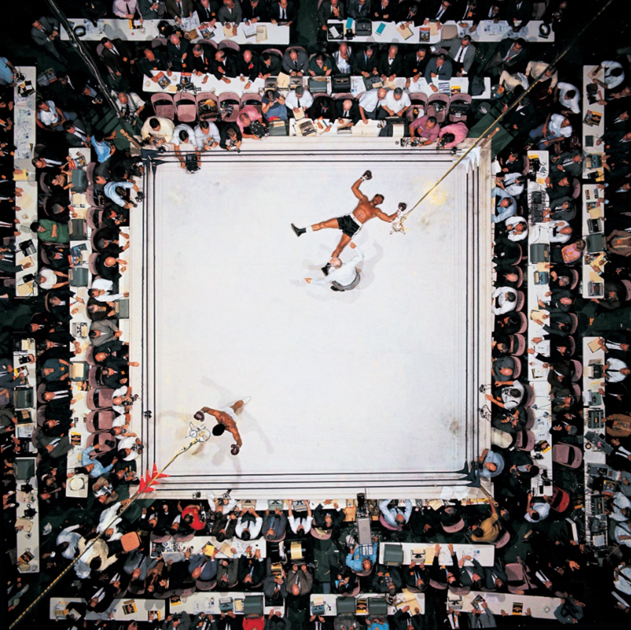 farfalla fotografia di Neil Leifer