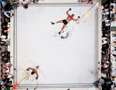 Foto del giorno: una farfalla svolazza sul ring dell'Astrodome