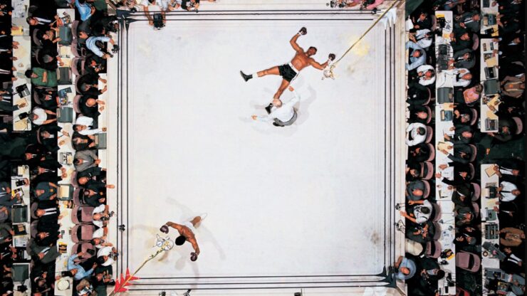 Foto del giorno: una farfalla svolazza sul ring dell'Astrodome