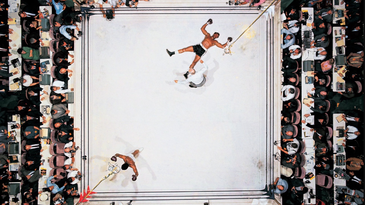 Foto del giorno: una farfalla svolazza sul ring dell'Astrodome