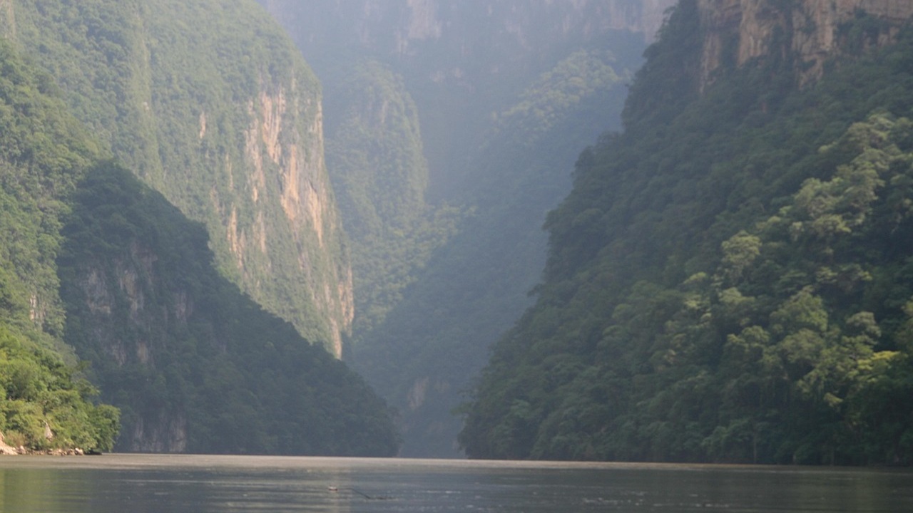 giungla messico