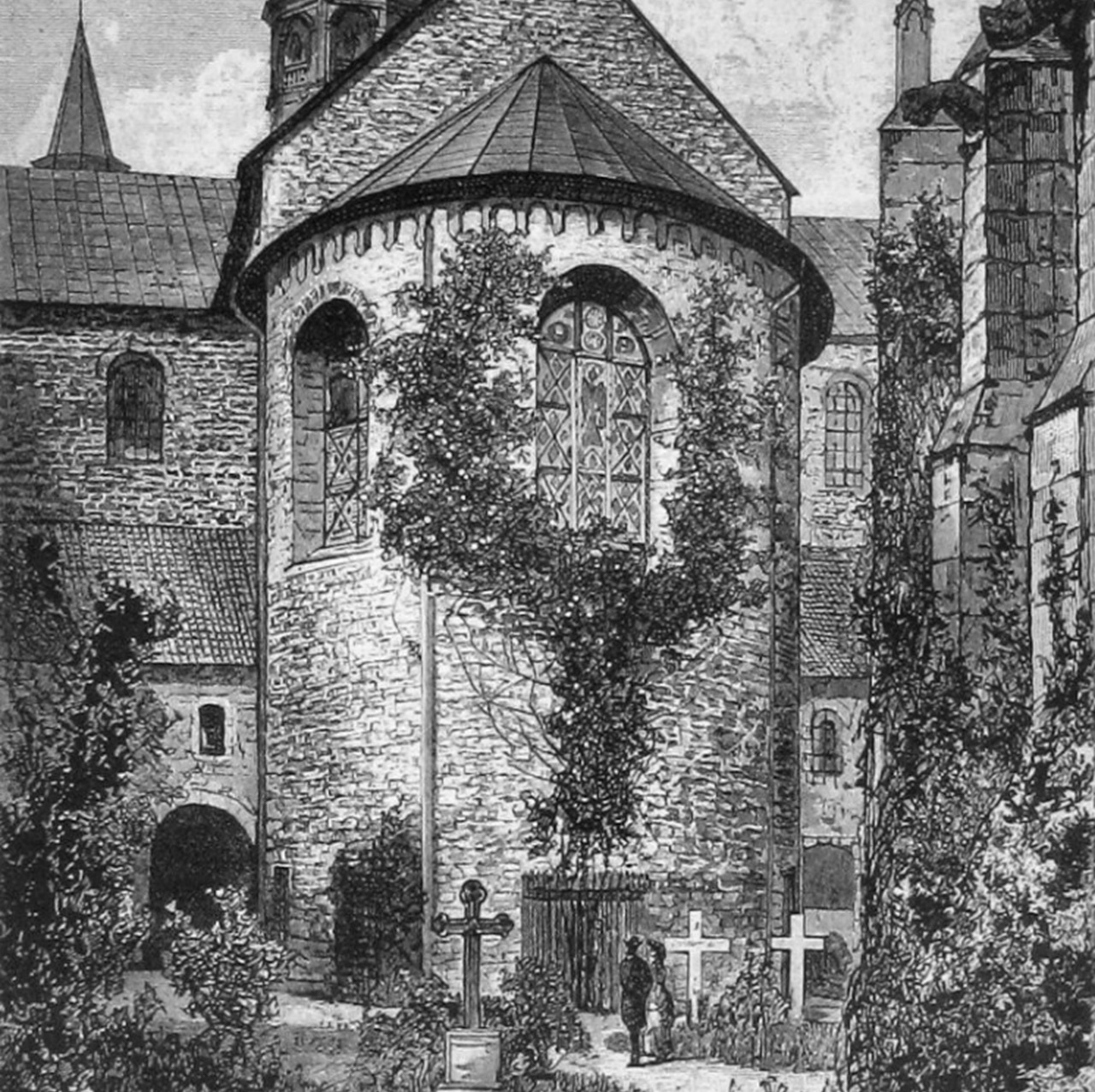 cespuglio di rose Hildesheim