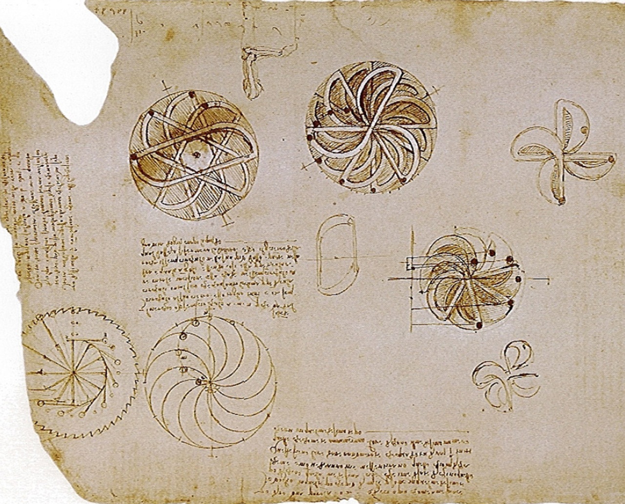 Dinosfera schizzi Leonardo da Vinci