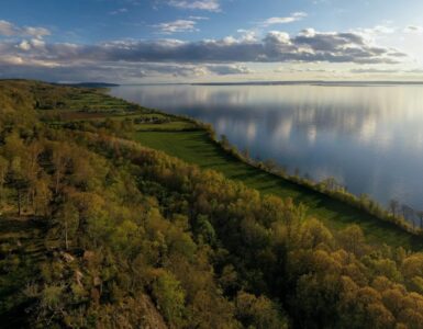 La lunga attesa delle querce svedesi di Visingsö